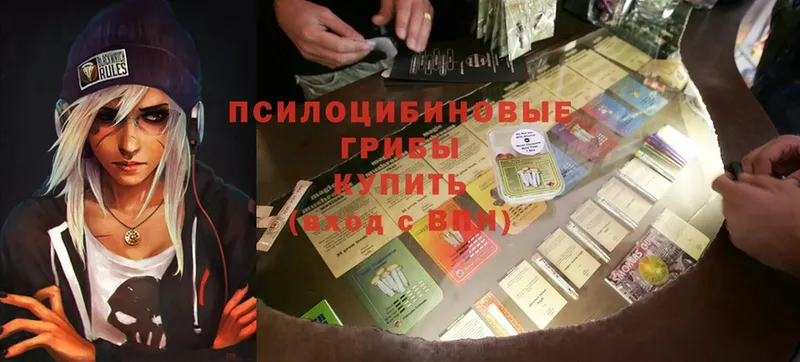 Псилоцибиновые грибы прущие грибы  где продают наркотики  mega ТОР  Энгельс 